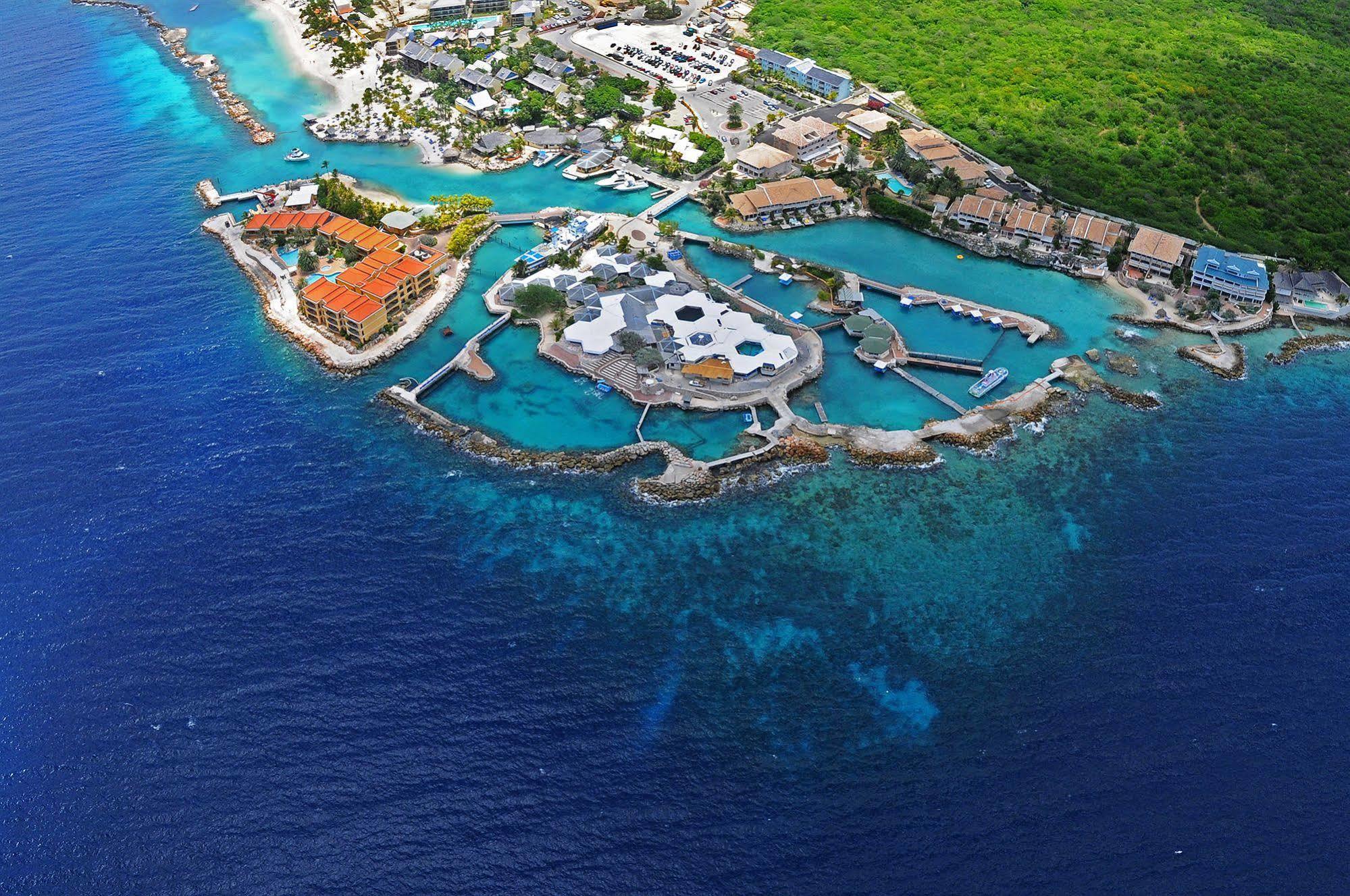 Dolphin Suites & Wellness Curacao Willemstad Extérieur photo